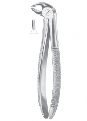 Fig. 13S lower premolars for children